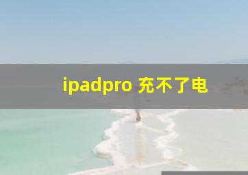 ipadpro 充不了电